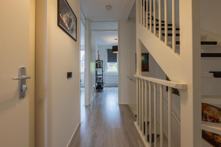 Foto 51 van Goudplevier 10