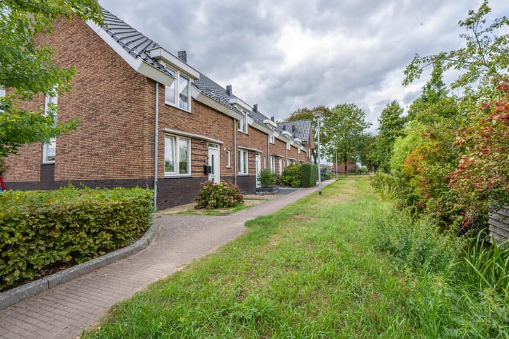 Foto 55 van Goudplevier 10