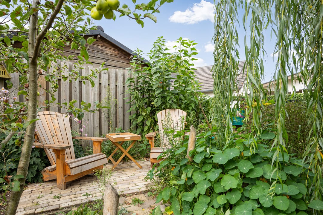 Foto 47 van Dokter de Ridderhof 47