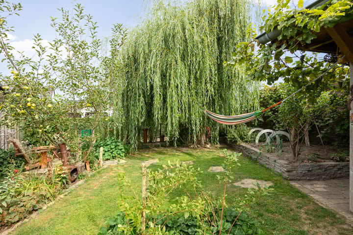 Foto 48 van Dokter de Ridderhof 47