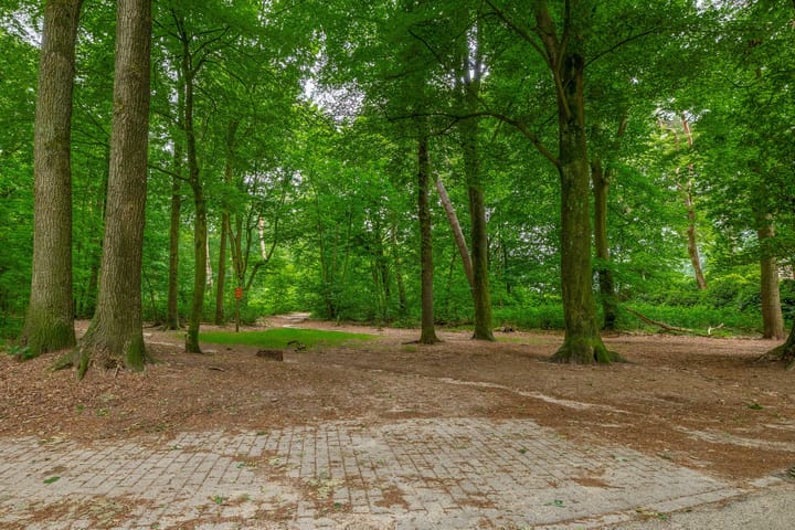 Photo 60 of Prins Willem-Alexanderlaan 112