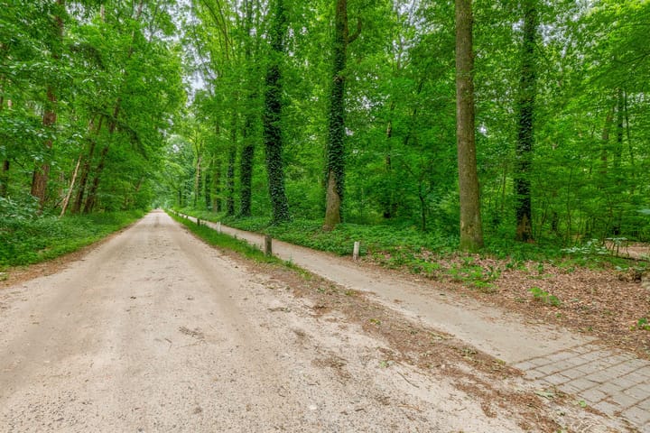 Photo 61 of Prins Willem-Alexanderlaan 112