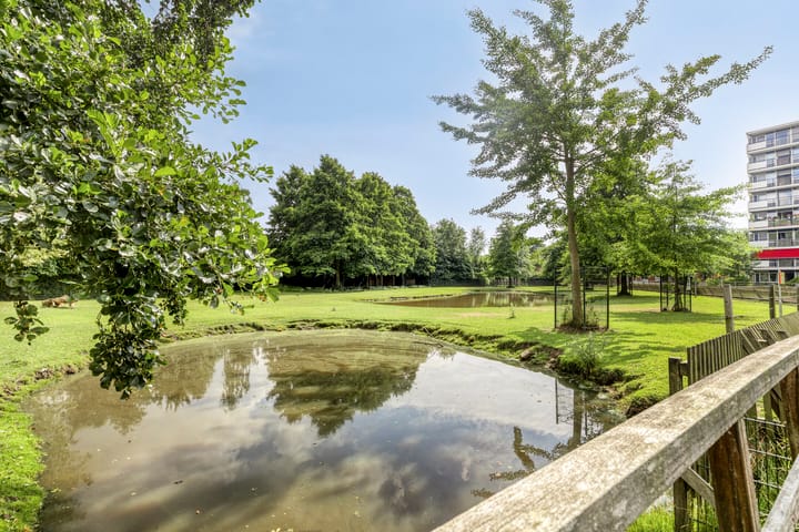 Foto 47 van Joubertstraat 176