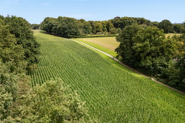 Foto 59 van Parklaan 29