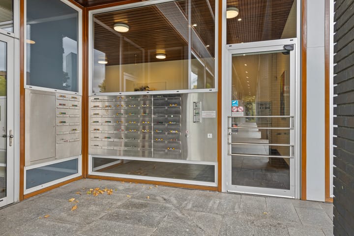 Foto 3 van Pieter Vreedeplein 134