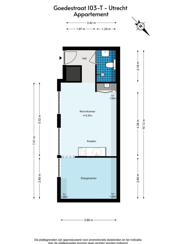 Foto 20 van Goedestraat 103-T