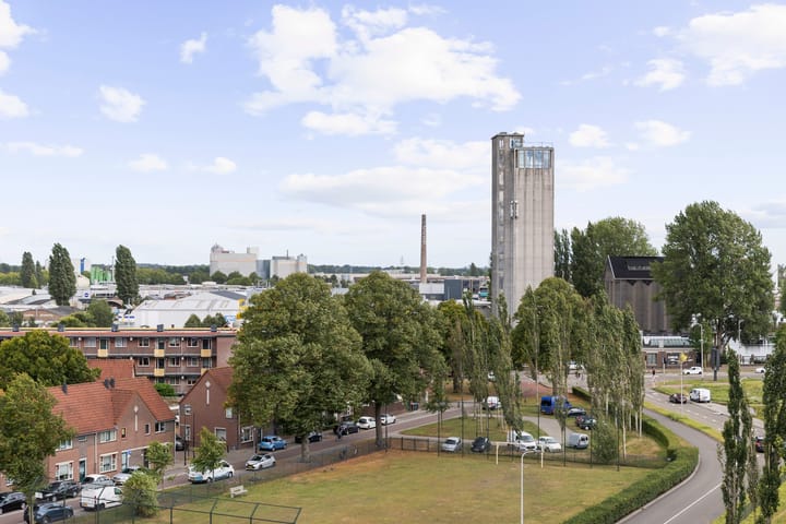 Foto 36 van Pothoofd 190