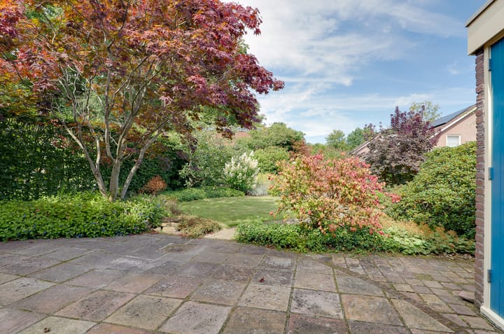 Foto 32 van Etstoel 13