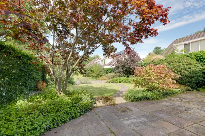 Foto 33 van Etstoel 13