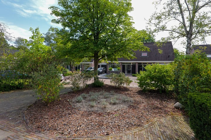 Foto 38 van Etstoel 13