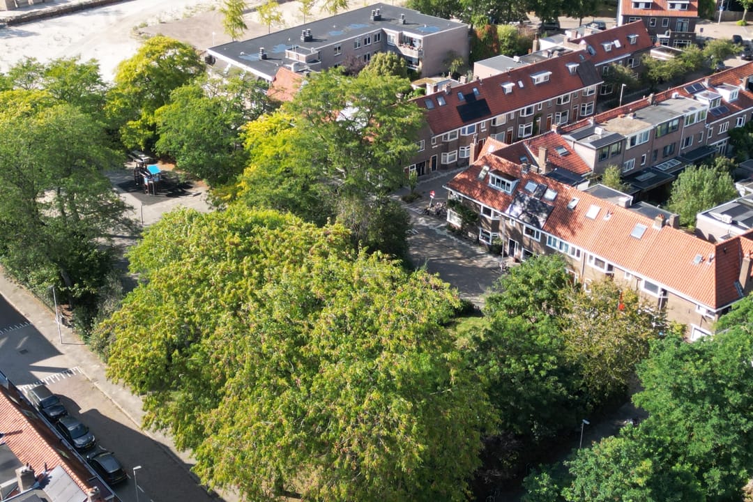 Foto 28 van Everard Foeckstraat 4