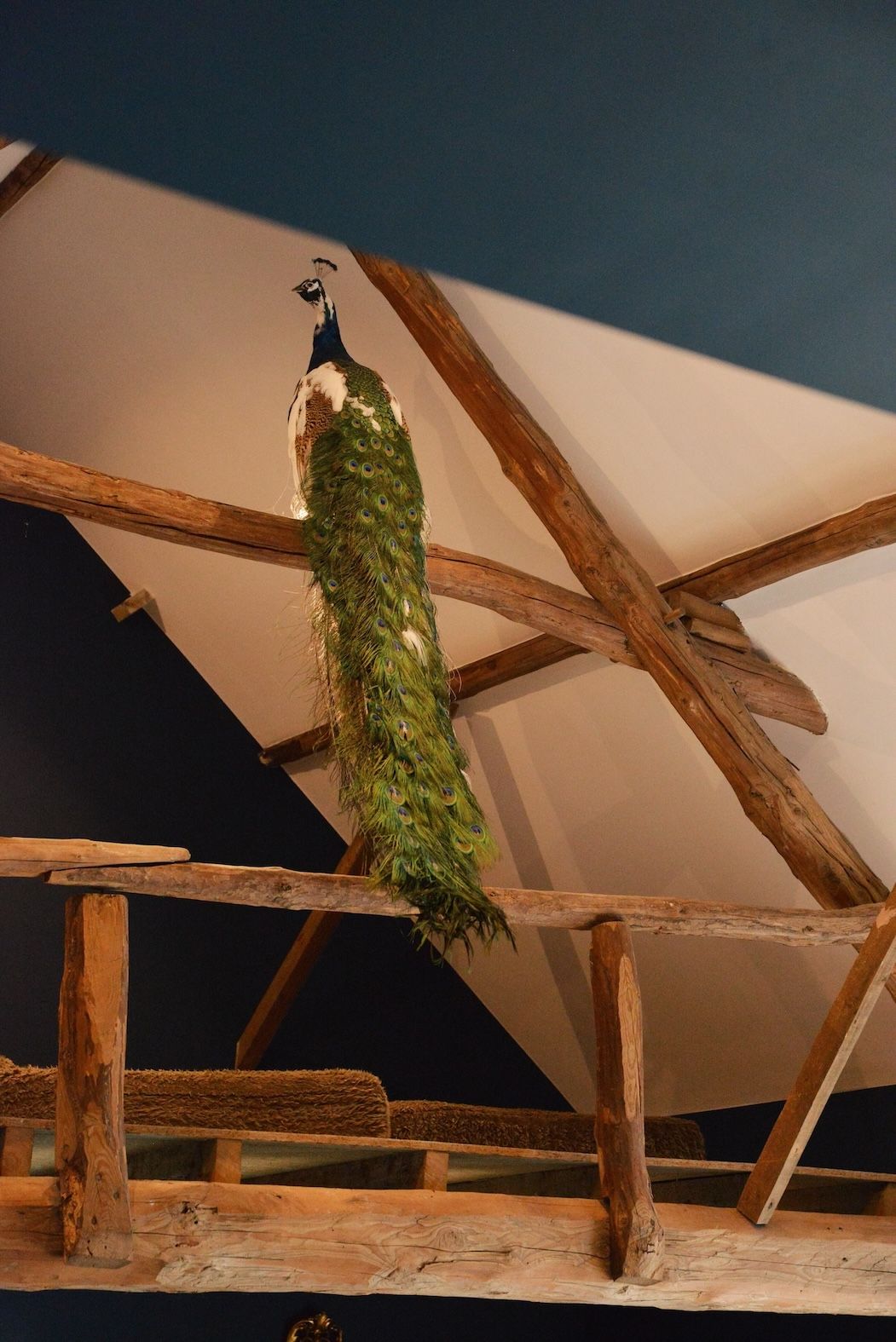 Foto 11 van Welweg 3