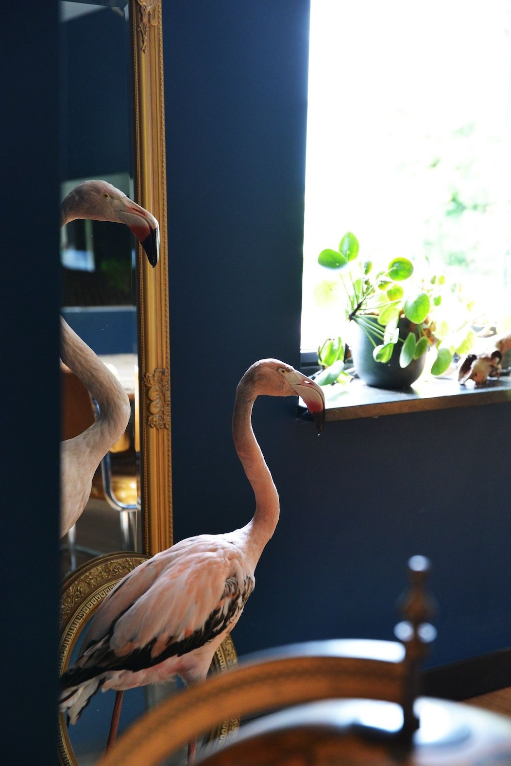 Foto 17 van Welweg 3