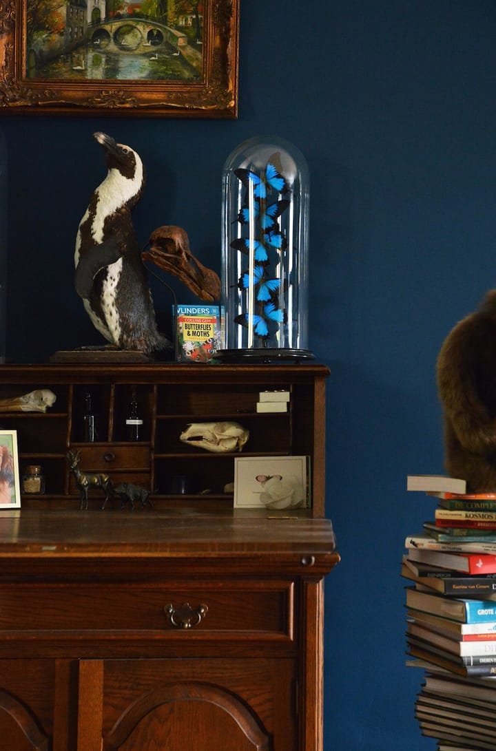 Foto 19 van Welweg 3