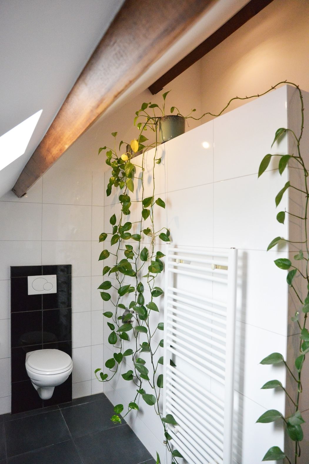 Foto 32 van Welweg 3