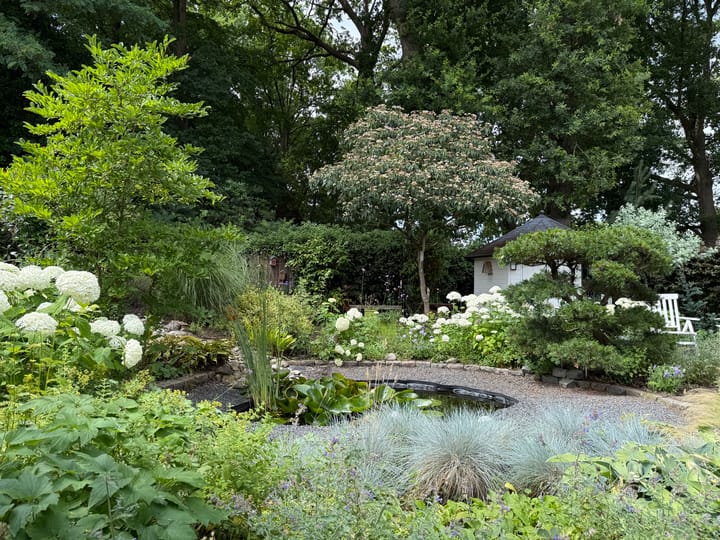 Photo 37 of Elsmaathorst 27