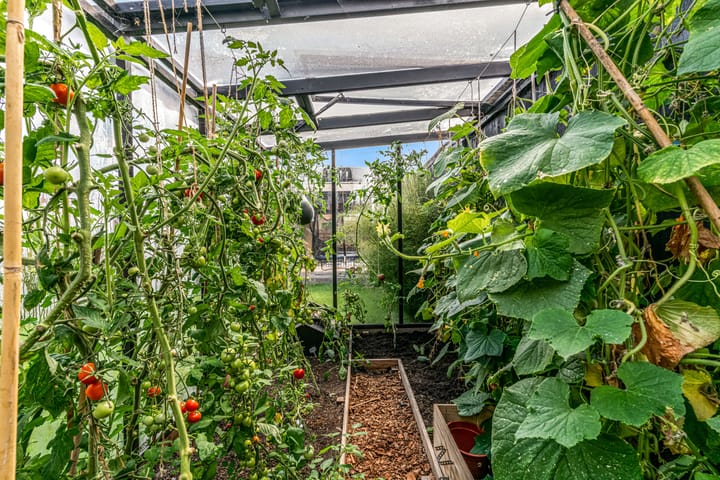 Foto 38 van Pastoor van Santestraat 33