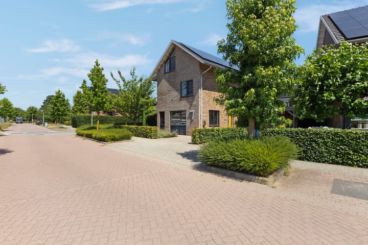 Foto 8 van Frankentaler 7