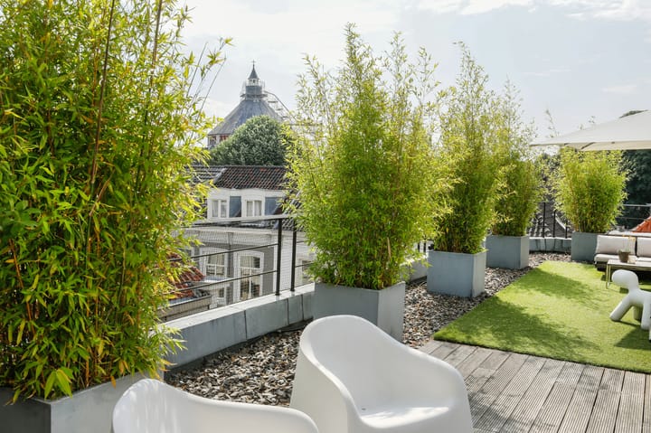 Foto 39 van Achter de Boogaard 2