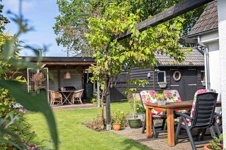 Foto 5 van Wachthoorn 17