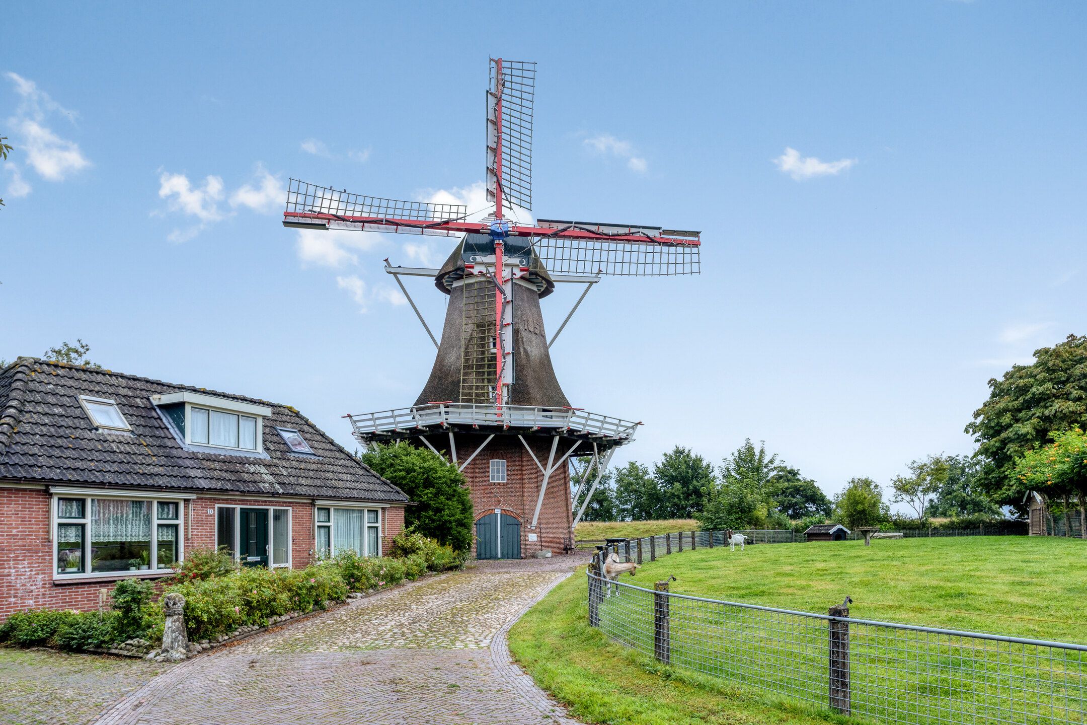 Foto 87 van Goudsbloemstraat 10