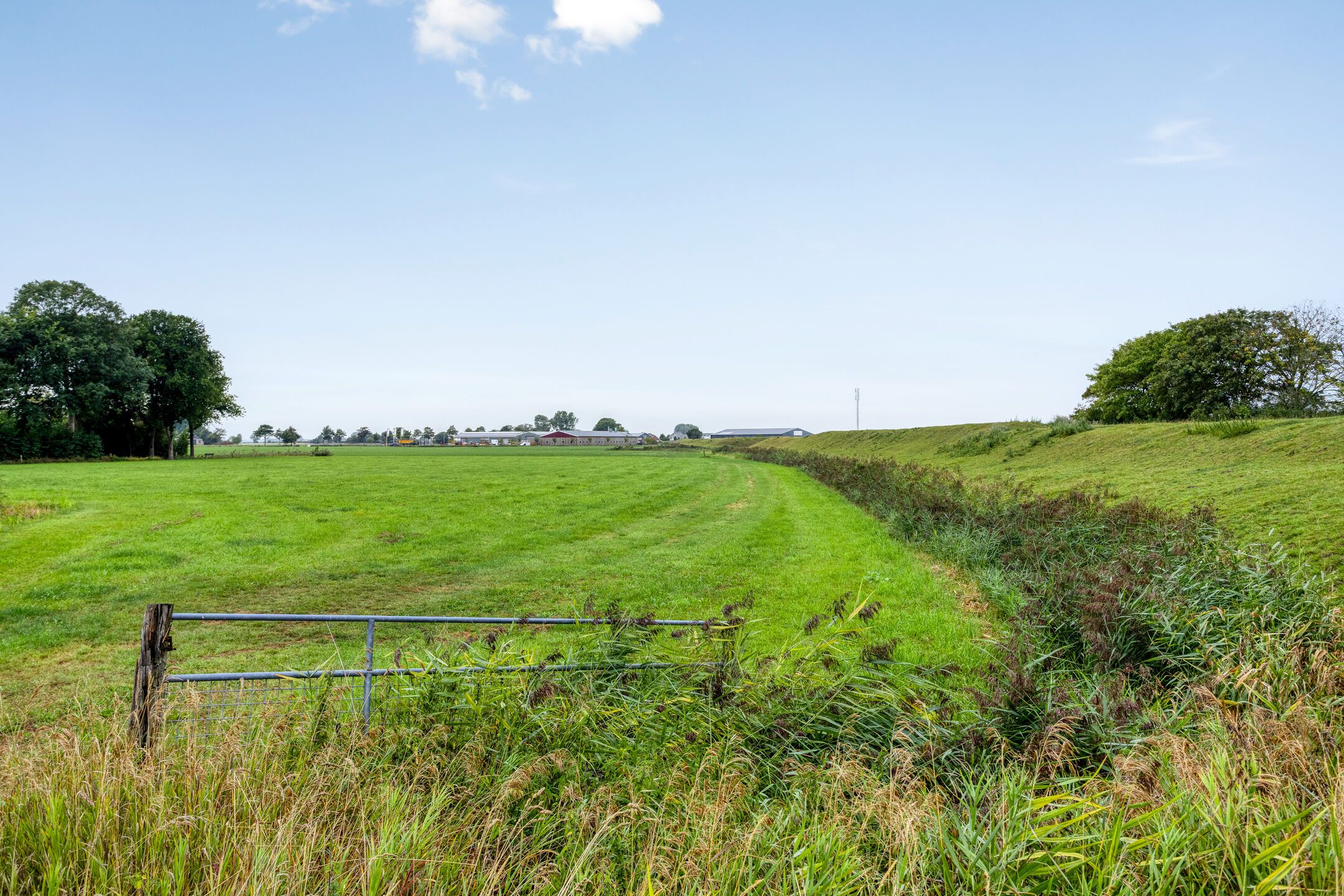 Foto 90 van Goudsbloemstraat 10