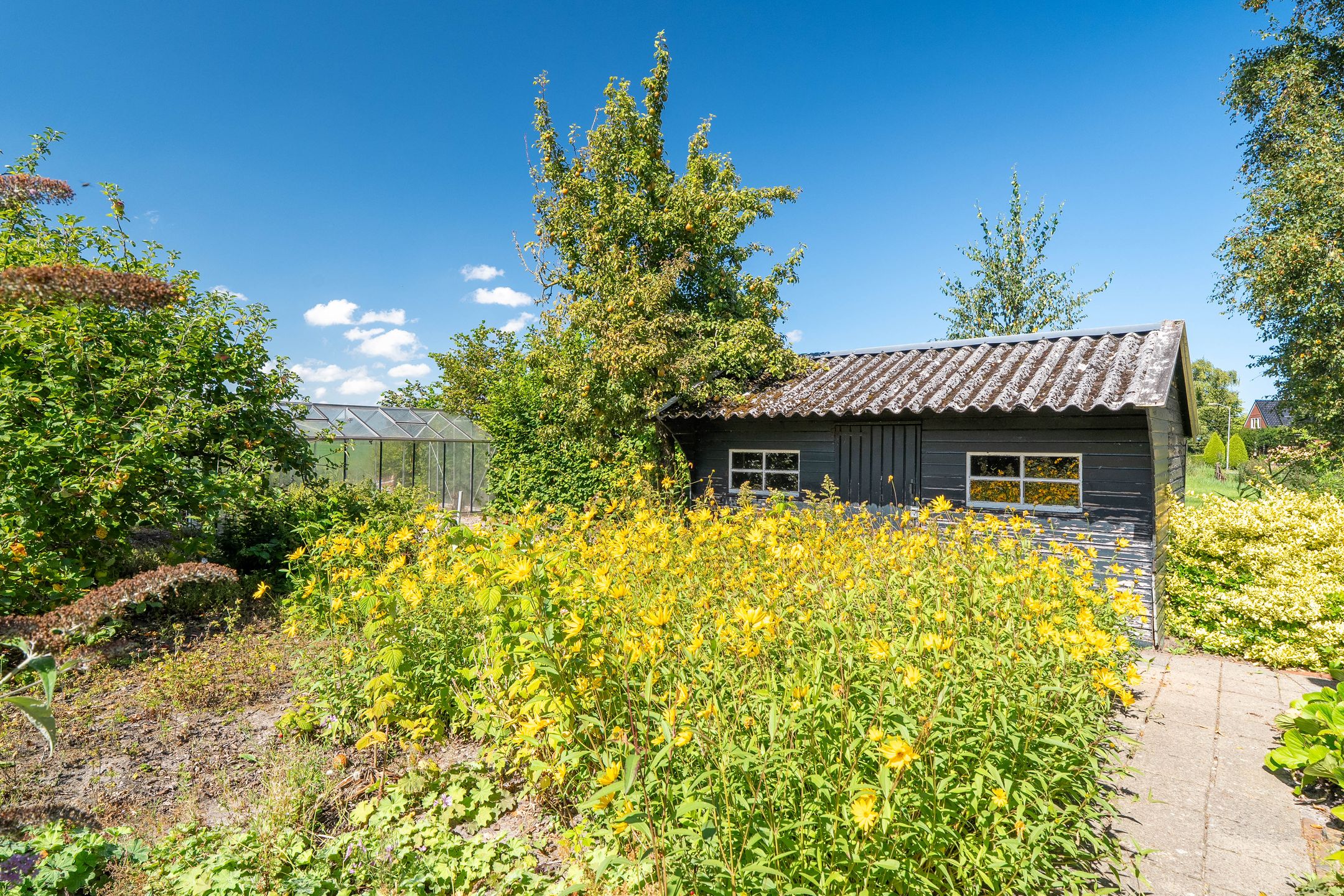 Foto 48 van Holwierderweg 1