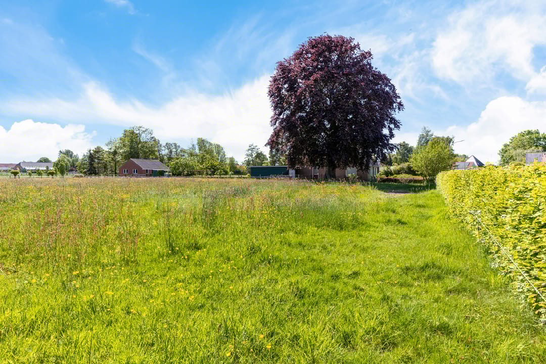 Photo 11 of de Hoogte 5