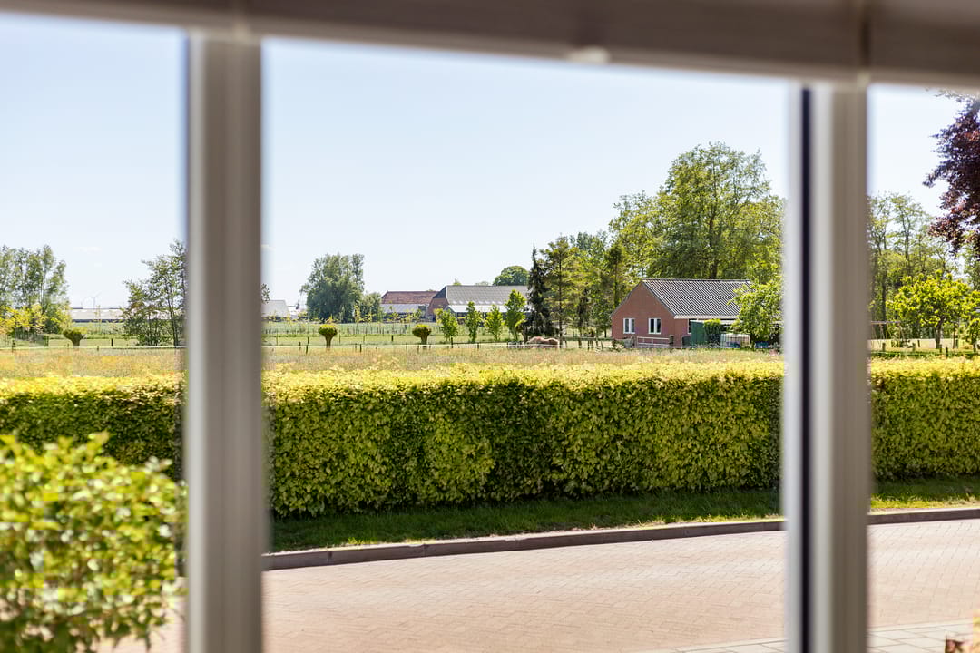 Photo 23 of de Hoogte 5