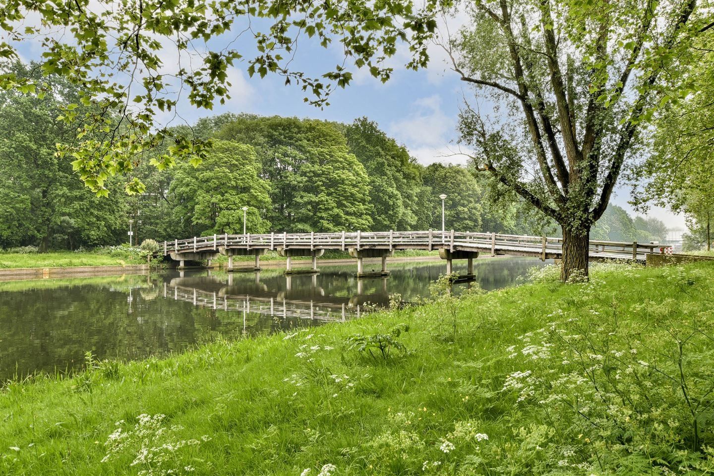 Foto 40 van Maassluisstraat 408