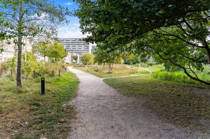 Foto 33 van Lyonnetstraat 71