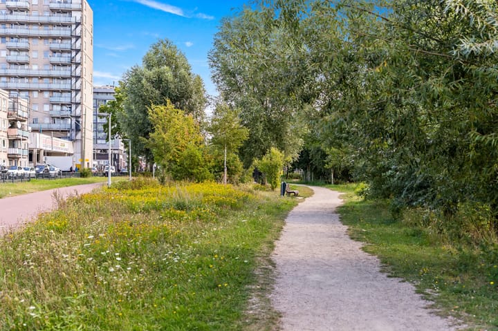 Foto 36 van Lyonnetstraat 71