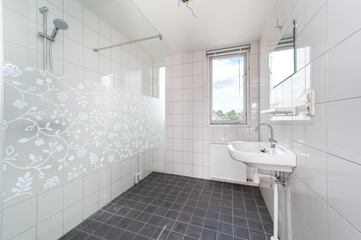 Foto 4 van Hegakker 98