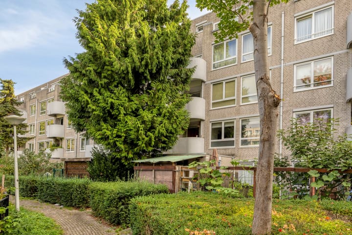 Foto 16 van Bernard Shawsingel 184