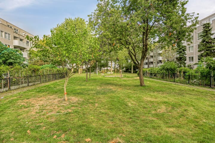 Foto 17 van Bernard Shawsingel 184