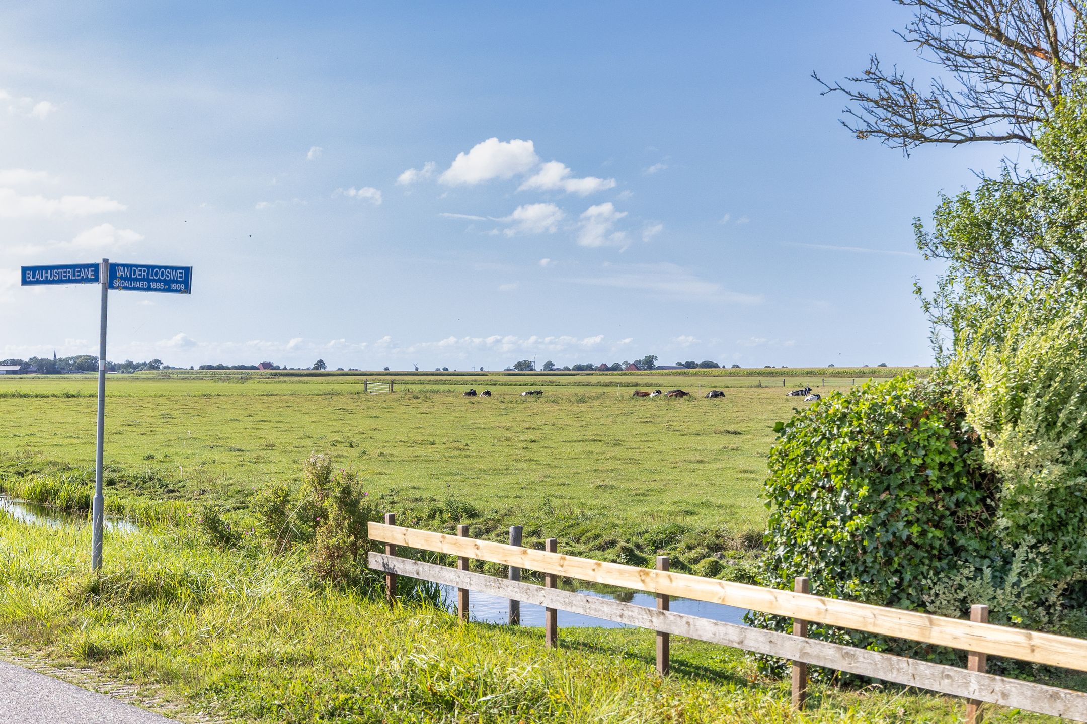 Photo 36 of van der Looswei 36