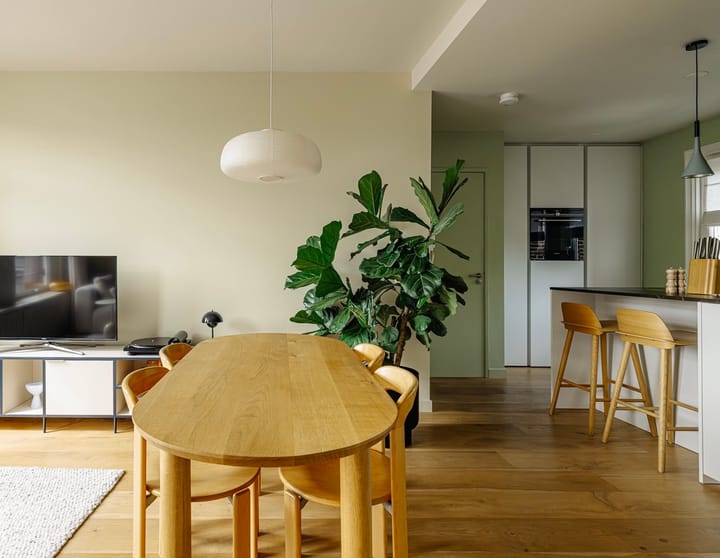 Foto 1 van Lodewijk Tripstraat 26-3