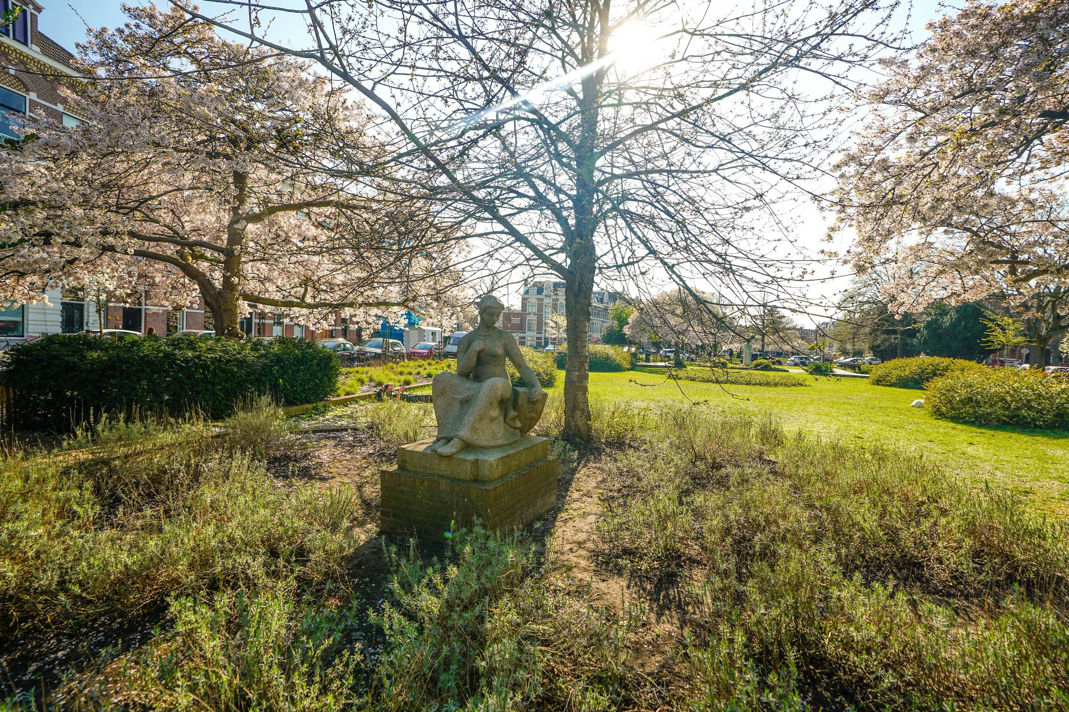 Foto 63 van Sweelinckplein 81-A