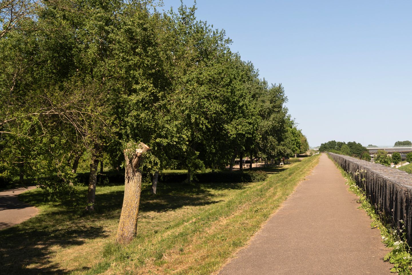 Foto 59 van Piet van de Polsingel 114