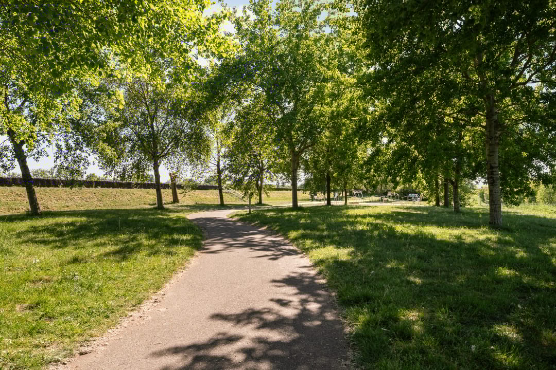 Foto 61 van Piet van de Polsingel 114