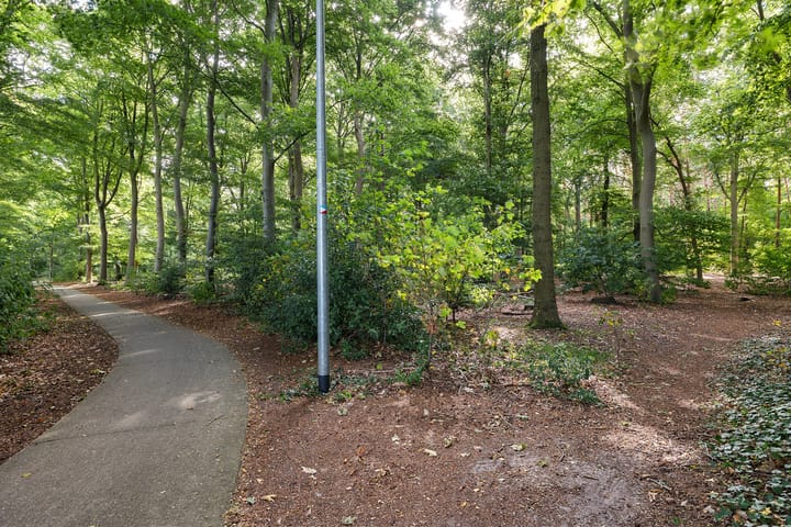 Foto 6 van Jipsingboertangerweg 35