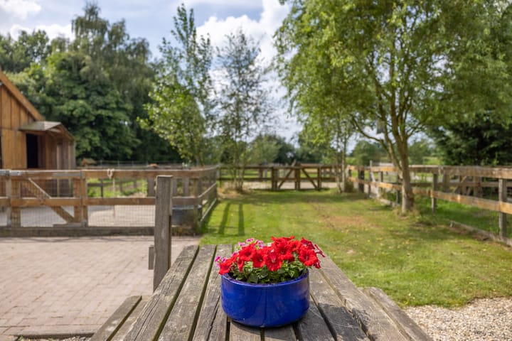 Foto 4 van Langeweg 52