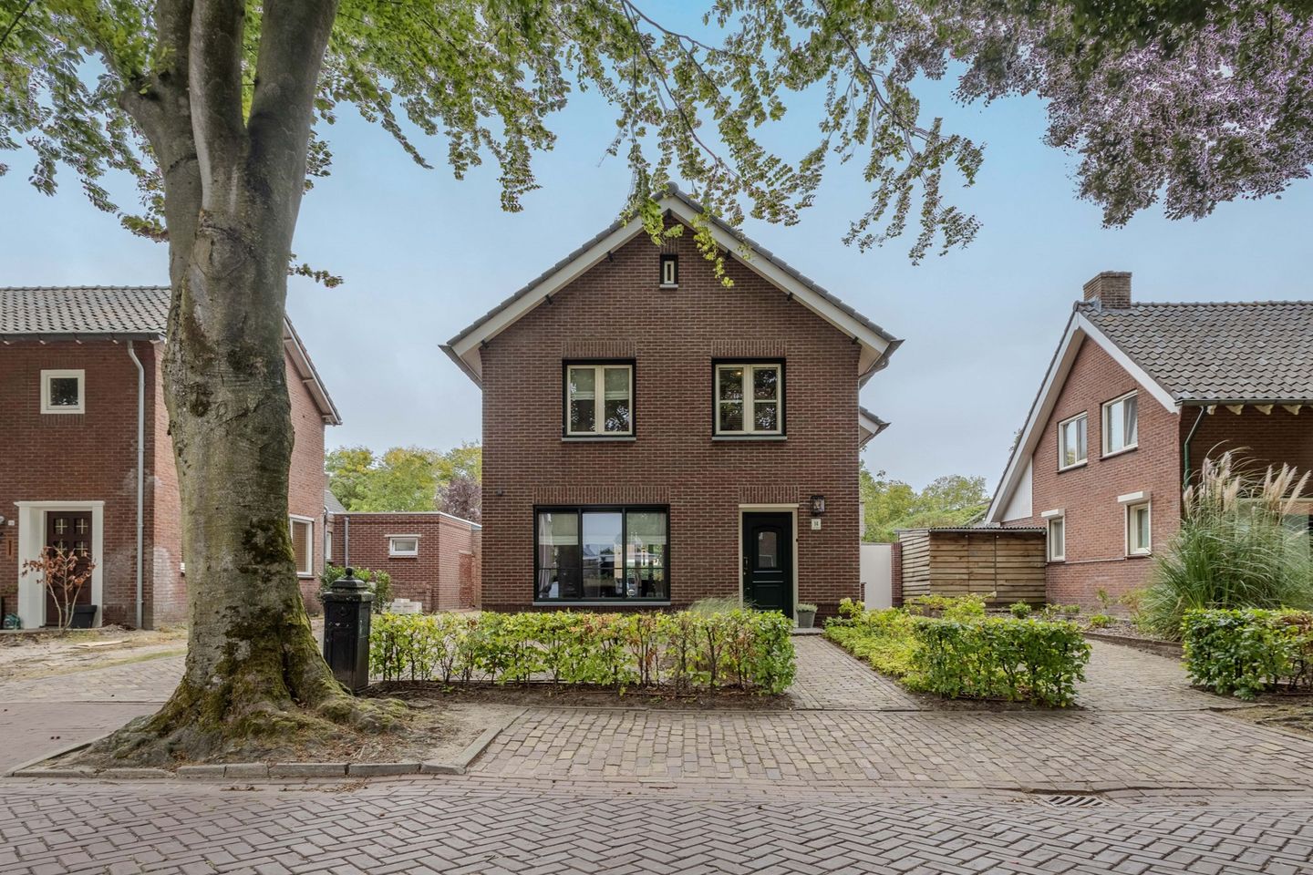 Foto 1 van Maternusstraat 14