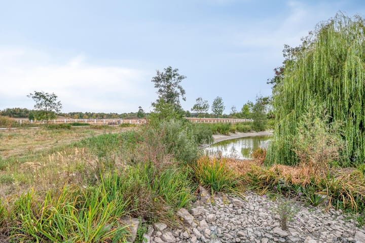 Photo 44 of Zandstrand 26