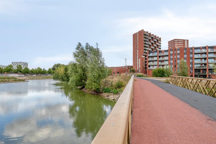 Photo 43 of Zandstrand 26