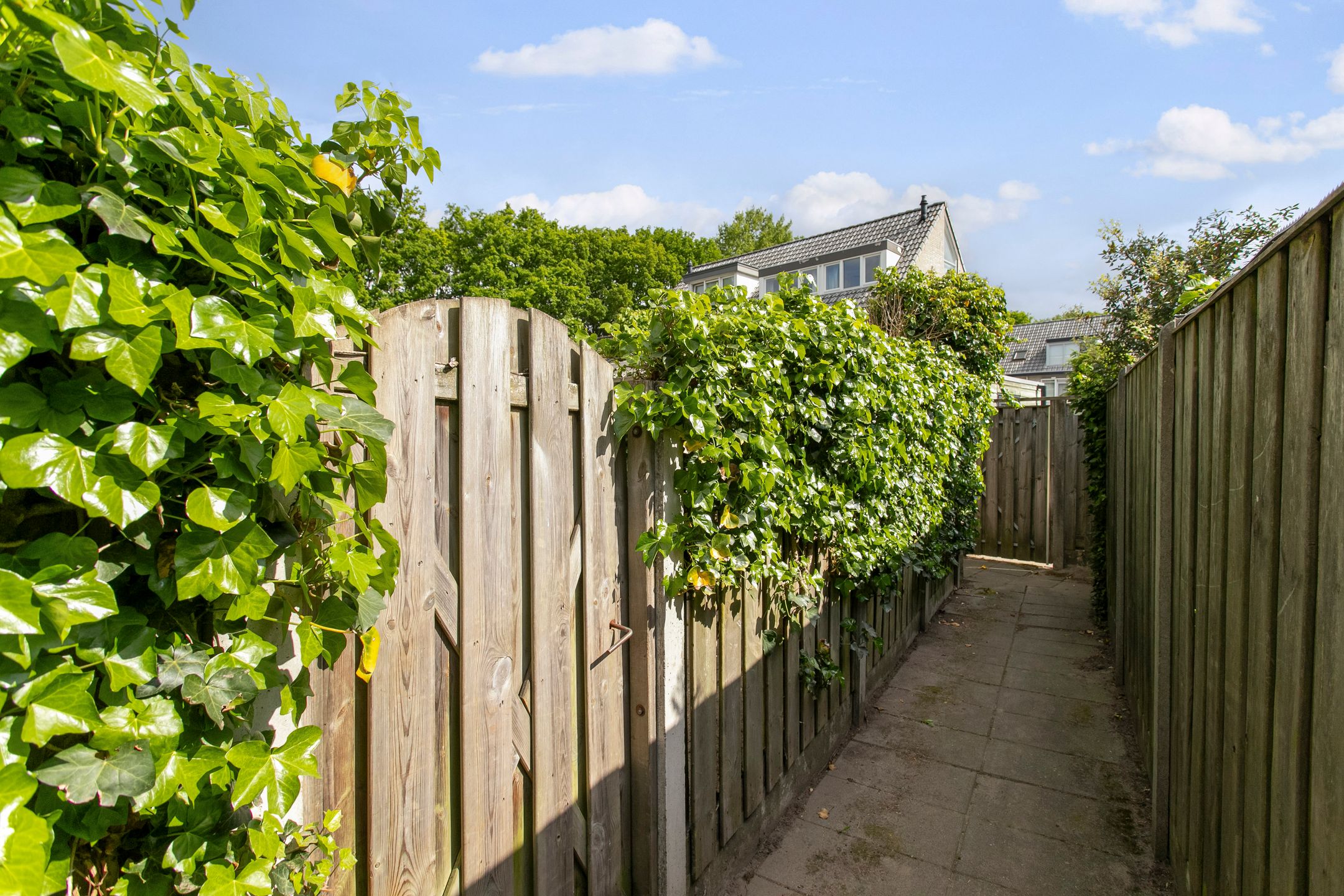 Foto 36 van Elzendreef 2