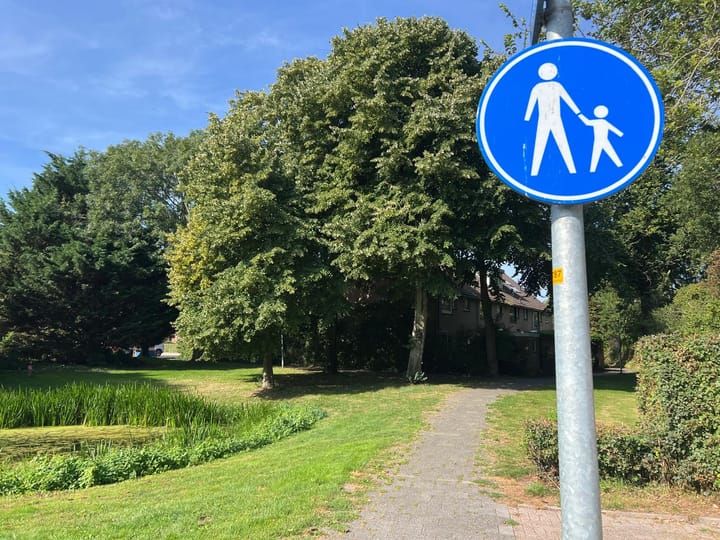 Foto 5 van Keizerskroon 96-B