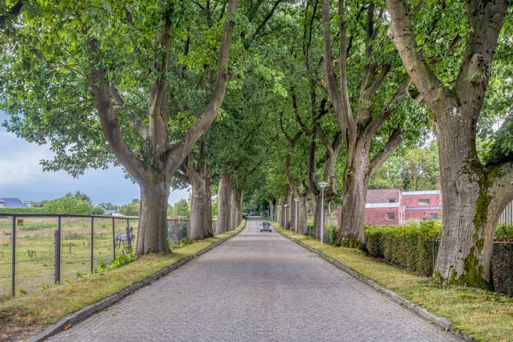 Foto 4 van Villandry 46