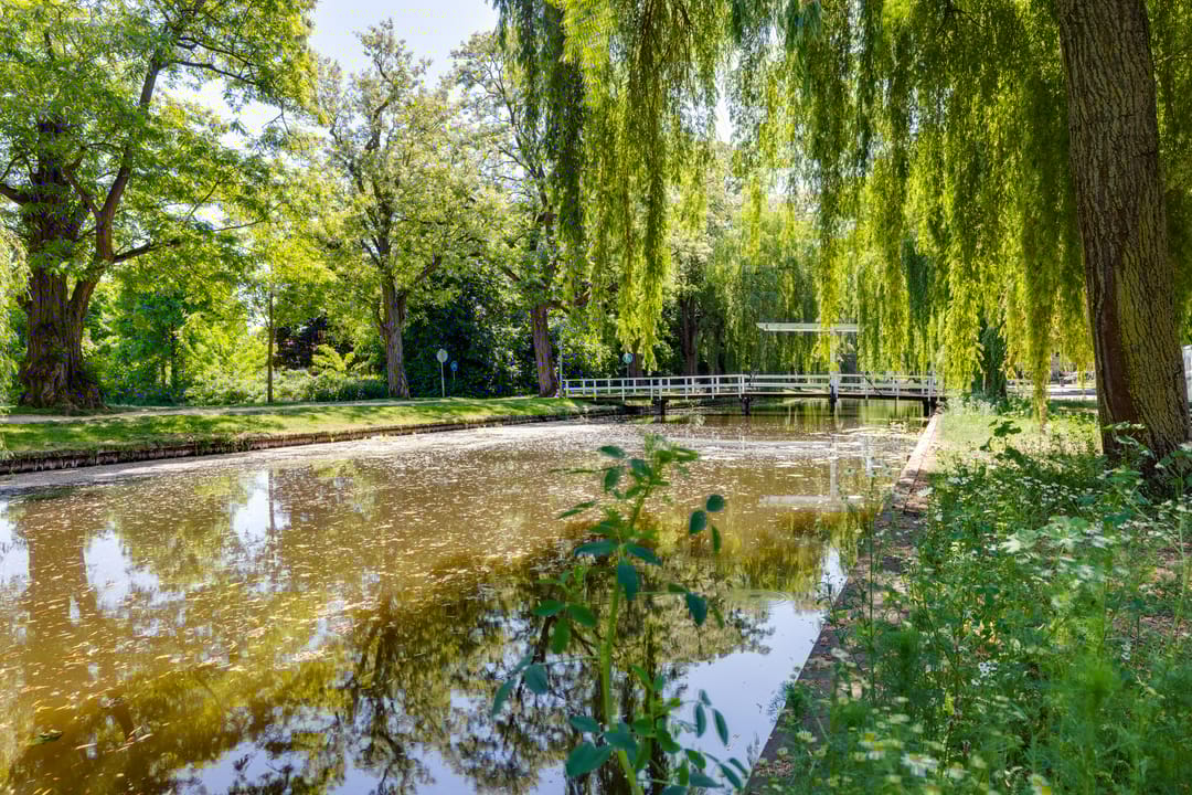 Photo 22 of Weverstraat 12-B