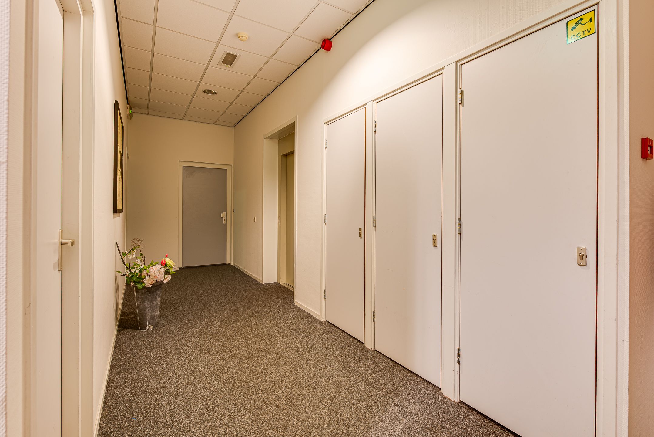 Photo 6 of Biltstraat 104-B